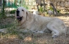 Filename=canon37.jpg
Filesize=109KiB
Dimensions=700x453
Date added=%519 %26, %2006 canon37.jpg