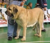 Filename=casandra.jpg
Filesize=55KiB
Dimensions=800x691
Date added=%329 %04, %2006 casandra.jpg