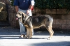 Filename=cata.jpg
Filesize=102KiB
Dimensions=1000x662
Date added=%058 %05, %2015 cata.jpg