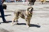 Filename=cataleya_de_la_filtrosa.jpg
Filesize=117KiB
Dimensions=1000x655
Date added=%789 %05, %2015 cataleya_de_la_filtrosa.jpg