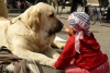 Filename=cb09-lois+adi5.jpg
Filesize=185KiB
Dimensions=885x600
Date added=%735 %16, %2009 cb09-lois+adi5.jpg