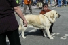 Filename=cb09-lois5.jpg
Filesize=69KiB
Dimensions=800x531
Date added=%549 %16, %2009 cb09-lois5.jpg