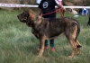 Filename=cch_mp3_paca2520de2520serylu.jpg
Filesize=481KiB
Dimensions=800x562
Date added=%722 %22, %2019 cch_mp3_paca2520de2520serylu.jpg