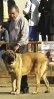Filename=cecilio.jpg
Filesize=56KiB
Dimensions=300x548
Date added=%777 %19, %2006 cecilio.jpg