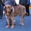 Filename=cecilio2~0.jpg
Filesize=40KiB
Dimensions=600x600
Date added=%978 %01, %2006 cecilio2~0.jpg