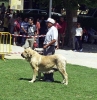 Filename=cecilio_lys_210.jpg
Filesize=66KiB
Dimensions=586x600
Date added=%816 %08, %2006 cecilio_lys_210.jpg