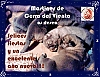 Filename=cerro_del_viento.jpg
Filesize=228KiB
Dimensions=1440x1115
Date added=%927 %31, %2020 cerro_del_viento.jpg