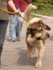 Filename=ceskeb-abbigail.jpg
Filesize=31KiB
Dimensions=415x550
Date added=%936 %22, %2008 ceskeb-abbigail.jpg