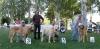 Filename=ch-males1-2-3.jpg
Filesize=38KiB
Dimensions=600x294
Date added=%598 %26, %2006 ch-males1-2-3.jpg