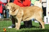 Filename=ch_caninera.jpg
Filesize=103KiB
Dimensions=960x640
Date added=%773 %18, %2014 ch_caninera.jpg