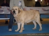 Filename=chico.jpg
Filesize=42KiB
Dimensions=670x502
Date added=%714 %02, %2019 chico.jpg