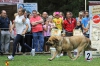 Filename=chiqui.jpg
Filesize=111KiB
Dimensions=960x640
Date added=%801 %24, %2014 chiqui.jpg