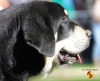 Filename=chume.jpg
Filesize=108KiB
Dimensions=960x782
Date added=%705 %18, %2014 chume.jpg