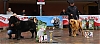 Filename=clase_abierta_hembras_-_1-2.jpg
Filesize=336KiB
Dimensions=1552x697
Date added=%987 %12, %2019 clase_abierta_hembras_-_1-2.jpg