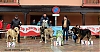 Filename=clase_abierta_machos.jpg
Filesize=358KiB
Dimensions=1559x816
Date added=%987 %12, %2019 clase_abierta_machos.jpg