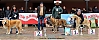 Filename=clase_cachorros_hembras.jpg
Filesize=311KiB
Dimensions=1610x652
Date added=%943 %12, %2019 clase_cachorros_hembras.jpg