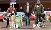 Filename=clase_intermedia_hembras.jpg
Filesize=321KiB
Dimensions=1346x806
Date added=%987 %12, %2019 clase_intermedia_hembras.jpg