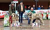 Filename=clase_jovenes_hembras.jpg
Filesize=376KiB
Dimensions=1432x861
Date added=%977 %12, %2019 clase_jovenes_hembras.jpg