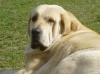 Filename=clea_april.jpg
Filesize=20KiB
Dimensions=450x337
Date added=%971 %29, %2006 clea_april.jpg
