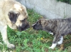 Filename=comprimida.jpg
Filesize=227KiB
Dimensions=1095x821
Date added=%290 %07, %2009 comprimida.jpg