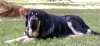 Filename=concha-a.jpg
Filesize=47KiB
Dimensions=900x421
Date added=%448 %29, %2006 concha-a.jpg