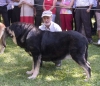 Filename=concha-babia.jpg
Filesize=74KiB
Dimensions=800x690
Date added=%432 %25, %2006 concha-babia.jpg