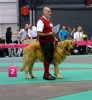 Filename=corso1.jpg
Filesize=23KiB
Dimensions=417x450
Date added=%409 %11, %2011 corso1.jpg