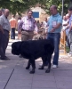 Filename=costero.jpg
Filesize=65KiB
Dimensions=653x800
Date added=%478 %19, %2006 costero.jpg