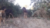 Filename=coto3.jpg
Filesize=130KiB
Dimensions=960x540
Date added=%754 %07, %2014 coto3.jpg