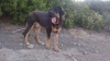 Filename=coto4.jpg
Filesize=117KiB
Dimensions=960x540
Date added=%753 %07, %2014 coto4.jpg