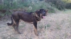 Filename=coto5.jpg
Filesize=115KiB
Dimensions=960x540
Date added=%753 %07, %2014 coto5.jpg