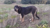 Filename=coto6.jpg
Filesize=147KiB
Dimensions=960x540
Date added=%752 %07, %2014 coto6.jpg