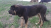 Filename=coto7.jpg
Filesize=120KiB
Dimensions=960x540
Date added=%752 %07, %2014 coto7.jpg