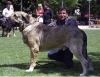 Filename=cronos-juan.jpg
Filesize=51KiB
Dimensions=600x467
Date added=%432 %29, %2006 cronos-juan.jpg