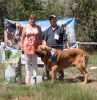 Filename=cvm_uno2520de2520autocan.jpg
Filesize=758KiB
Dimensions=781x800
Date added=%901 %22, %2019 cvm_uno2520de2520autocan.jpg