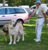Filename=damanalon.jpg
Filesize=45KiB
Dimensions=600x620
Date added=%665 %07, %2006 damanalon.jpg
