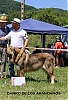 Filename=danko_de_los_arandanos.jpg
Filesize=146KiB
Dimensions=658x960
Date added=%911 %12, %2019 danko_de_los_arandanos.jpg