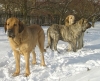 Filename=dbf.jpg
Filesize=204KiB
Dimensions=500x407
Date added=%691 %02, %2007 dbf.jpg