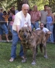 Filename=delco-autocan.jpg
Filesize=83KiB
Dimensions=644x800
Date added=%790 %25, %2006 delco-autocan.jpg
