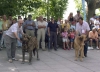 Filename=delco-leon.jpg
Filesize=55KiB
Dimensions=800x583
Date added=%477 %19, %2006 delco-leon.jpg
