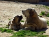 Filename=dialogo.jpg
Filesize=104KiB
Dimensions=1000x750
Date added=%302 %09, %2007 dialogo.jpg