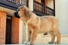 Filename=dora1.jpg
Filesize=123KiB
Dimensions=1500x996
Date added=%737 %28, %2011 dora1.jpg