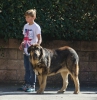 Filename=drako.jpg
Filesize=147KiB
Dimensions=940x960
Date added=%659 %05, %2015 drako.jpg