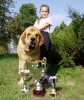 Filename=druso-CW.jpg
Filesize=59KiB
Dimensions=506x600
Date added=%649 %16, %2006 druso-CW.jpg