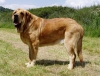 Filename=drusostor.jpg
Filesize=47KiB
Dimensions=512x392
Date added=%565 %16, %2006 drusostor.jpg