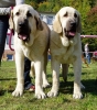 Filename=dubova-lucius+lois.jpg
Filesize=111KiB
Dimensions=399x450
Date added=%998 %12, %2007 dubova-lucius+lois.jpg