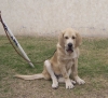 Filename=duke-a.jpg
Filesize=121KiB
Dimensions=1000x910
Date added=%986 %01, %2007 duke-a.jpg
