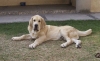 Filename=duke.jpg
Filesize=90KiB
Dimensions=1000x613
Date added=%860 %01, %2007 duke.jpg