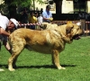 Filename=duque2.jpg
Filesize=73KiB
Dimensions=600x545
Date added=%806 %08, %2006 duque2.jpg