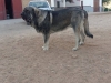 Filename=duque2C_-.jpg
Filesize=121KiB
Dimensions=960x720
Date added=%375 %21, %2019 duque2C_-.jpg